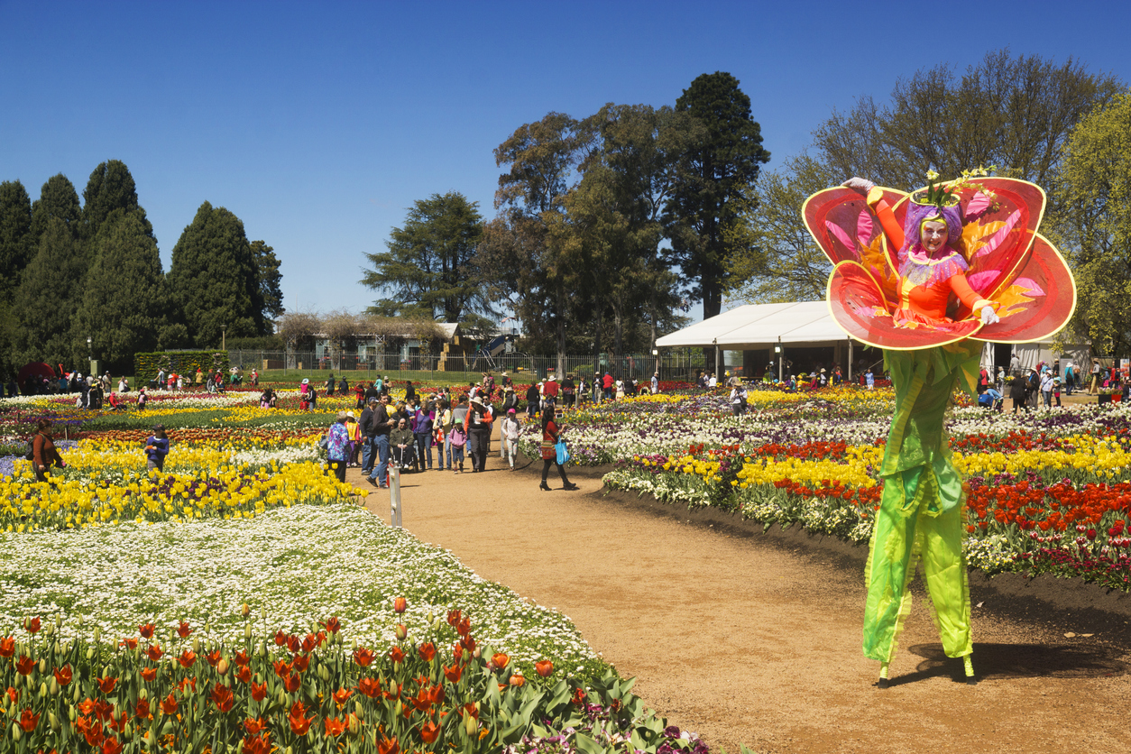 Floriade To Spread To Suburbs Australian Seniors News