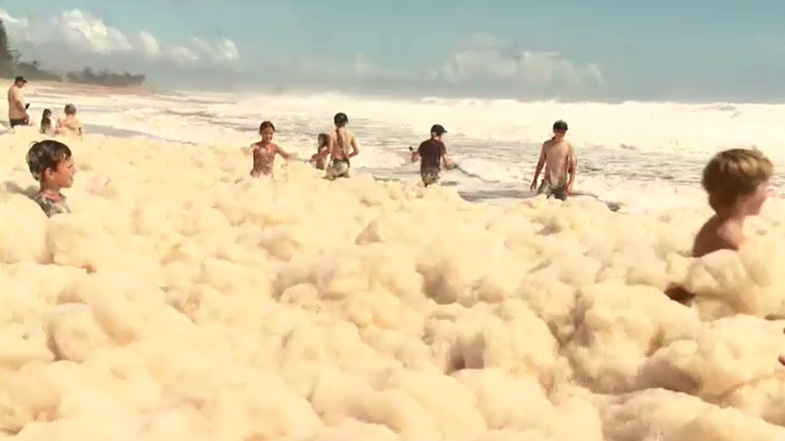 Yellow frothing over beach foam - Australian Seniors News