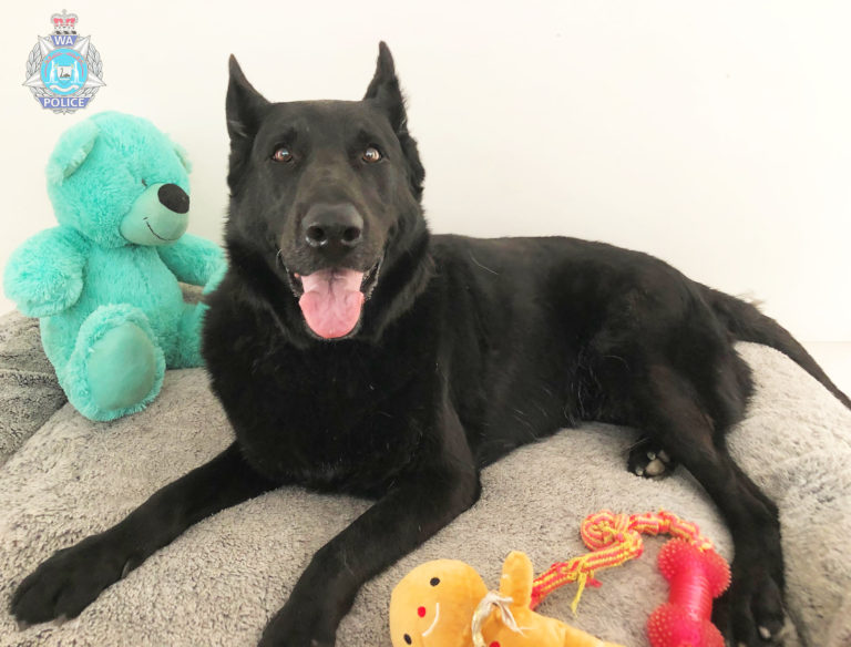RIP police dog Storm
