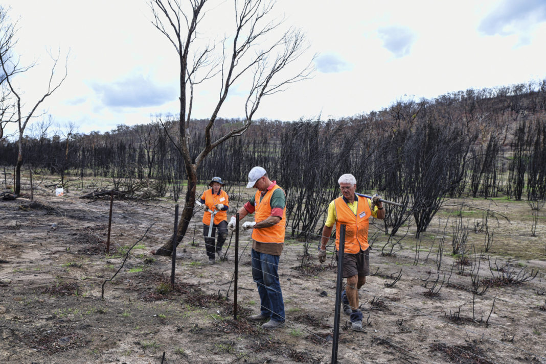 Australia 'on the mend' after Black Summer fires - Australian Seniors News