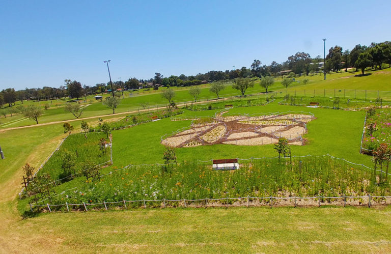 Penrith goes wild for temporary meadow