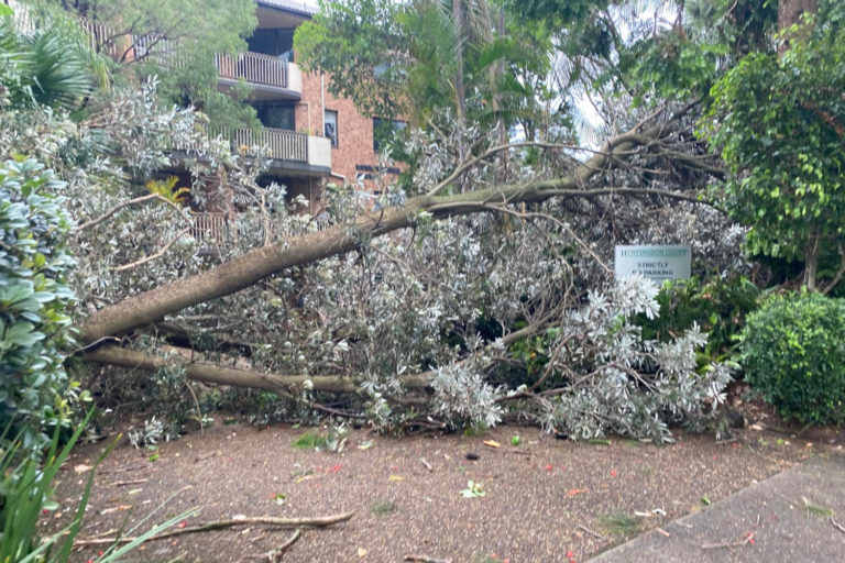 Northern Beaches calls for storm cleanup assistance