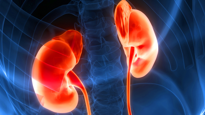 Kidney Health Australia welcomes new PBS drug listing - Australian ...