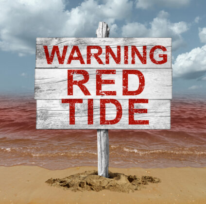 Red Tide Warning For Perth Coast - Australian Seniors News