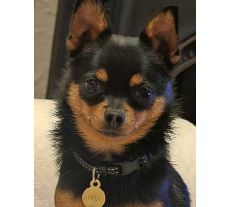 Have you seen Murray?