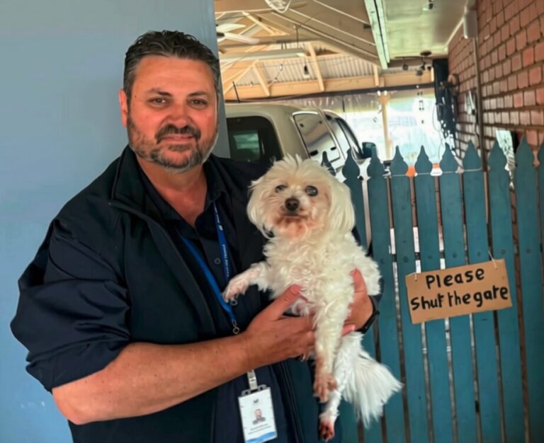 Happy ending for lost elderly rescue dog